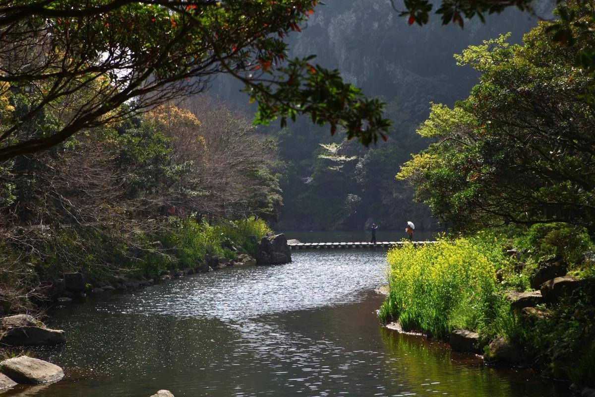 겨울 제주 여행 2 박 3 일 어디가 좋을까? 눈꽃 명소 BEST 6