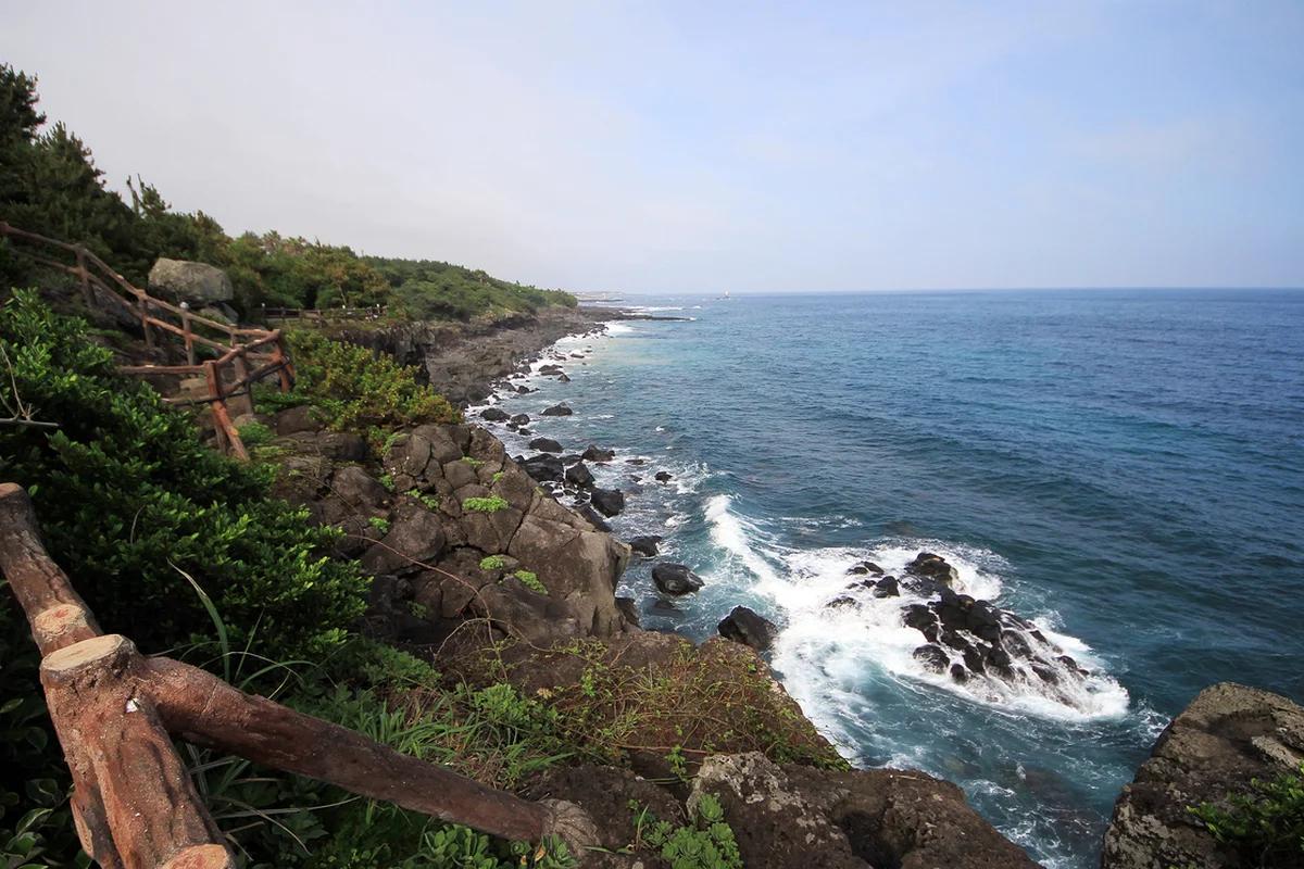 제주 위미리 동백군락지 감귤 체험 겨울 낭만 BEST