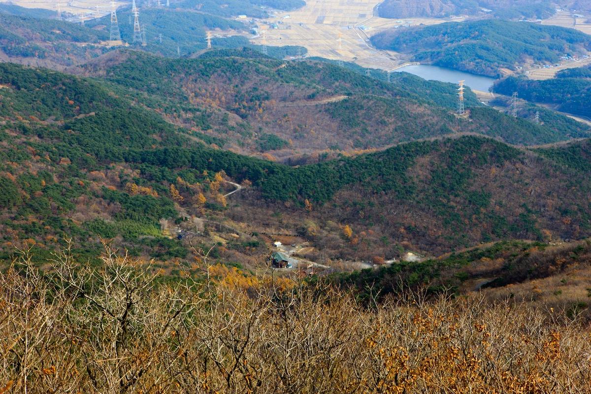 겨울 오서산 억새 축제 어디가 좋을까? 설경 명소 BEST 6