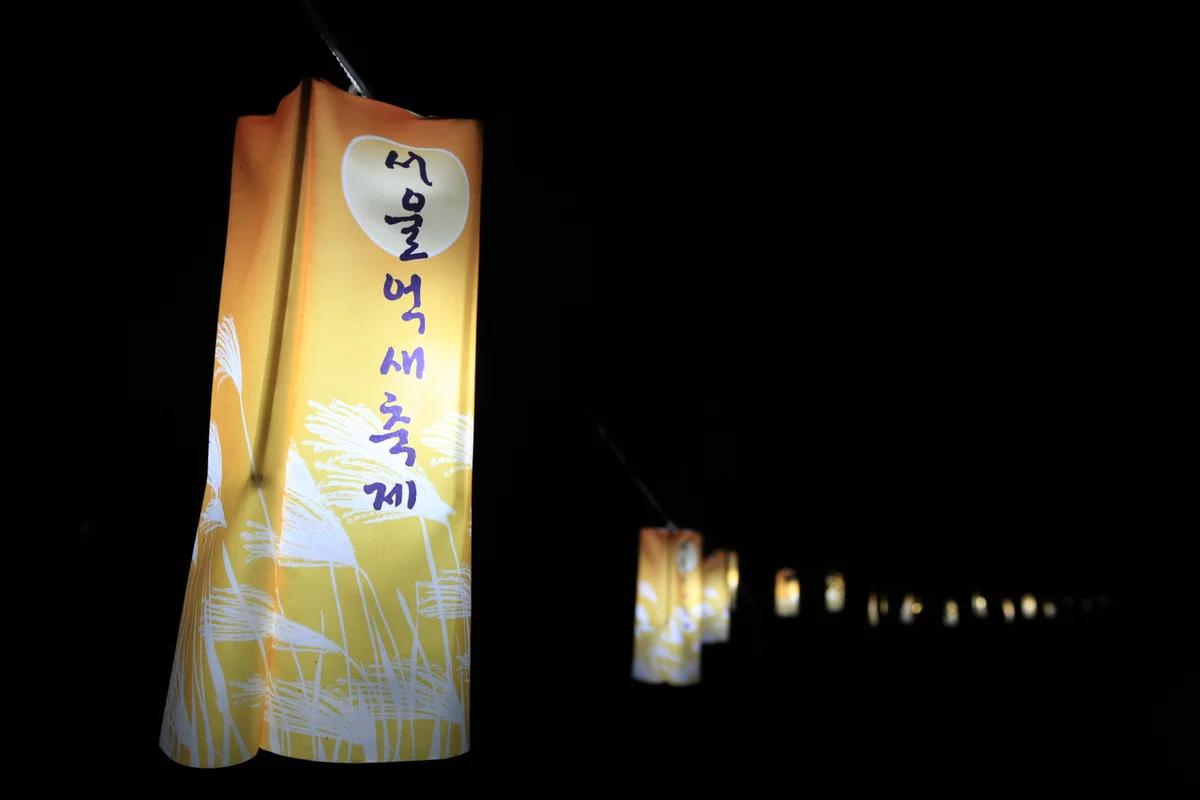 겨울 서울 BEST 5, 낭만적인 겨울 정취를 만끽하세요