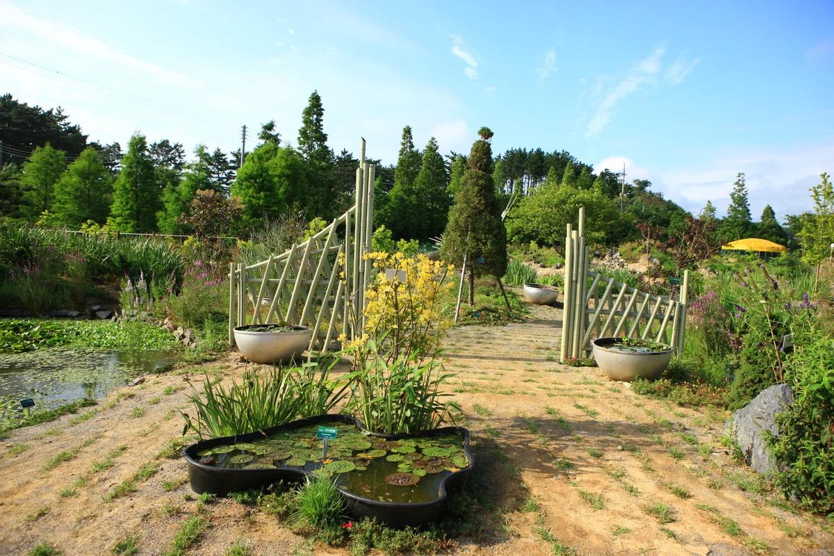 태안 청산 수목원 어디가 좋을까? 겨울 정취 가득한 숨은 정원 BEST 6