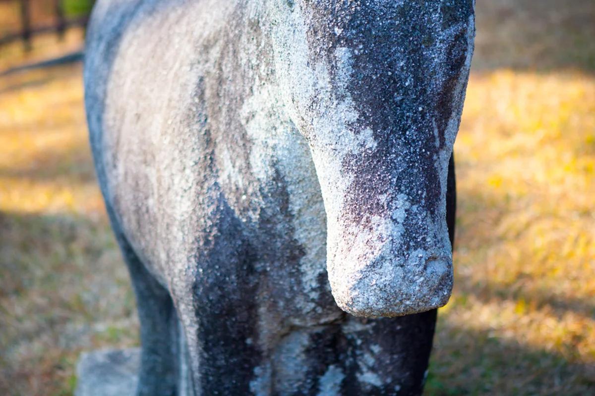 새하얀 겨울 여주 여행  설경이 아름다운 명소 5곳