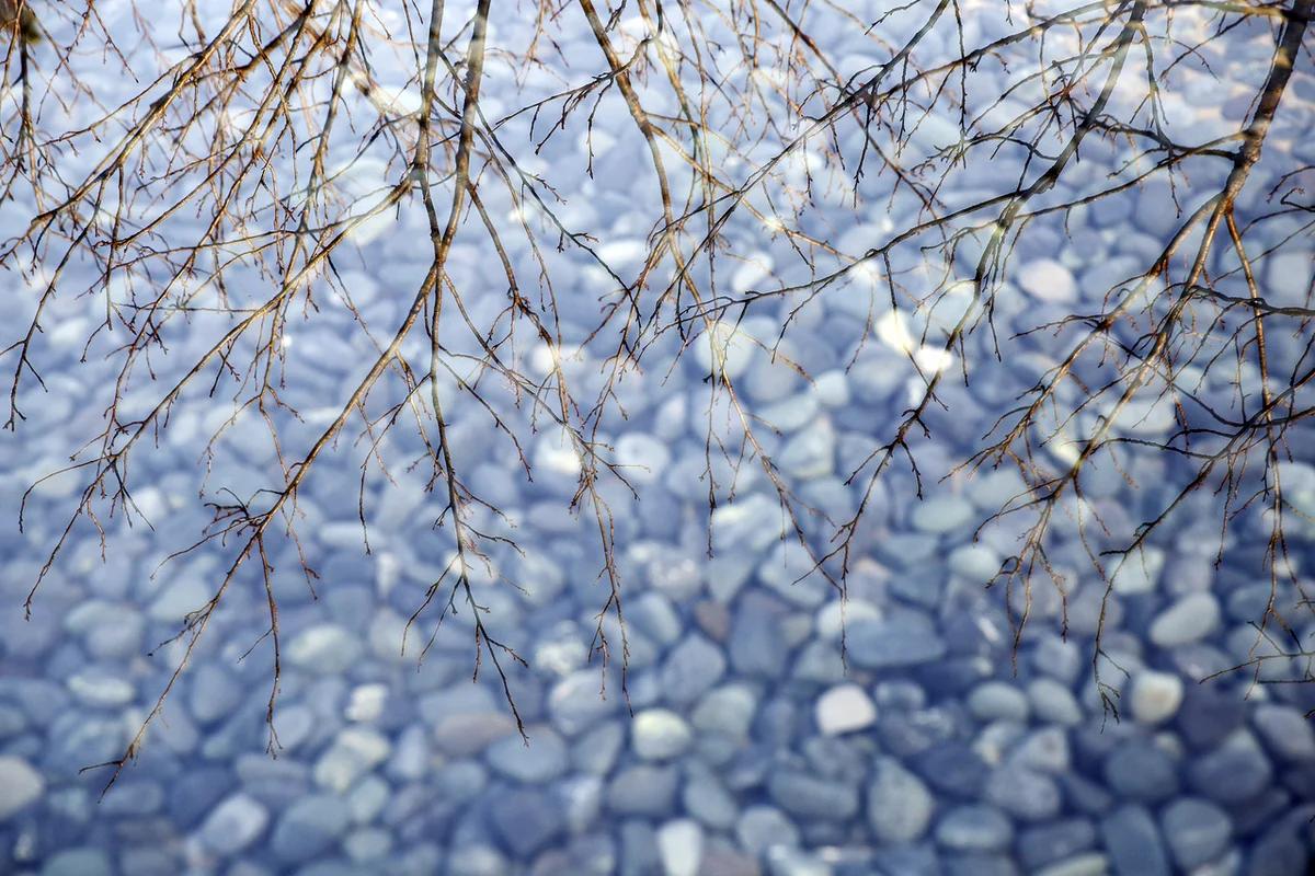 이번 겨울, 원주 데이트 코스 어디가 좋을까? 뮤지엄산과 소금산 그랜드밸리 BEST 6