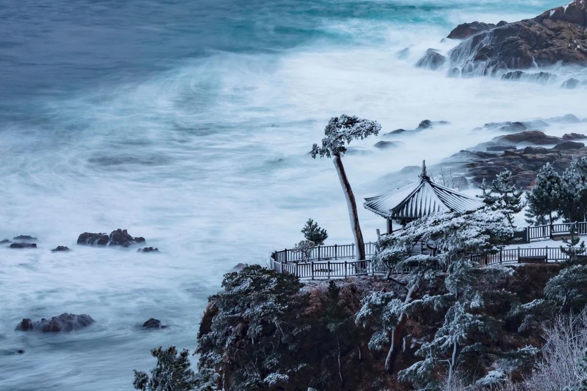 올겨울 놓칠 수 없는 양양 겨울 여행, 설악산과 바다를 품은 힐링 명소 BEST 6