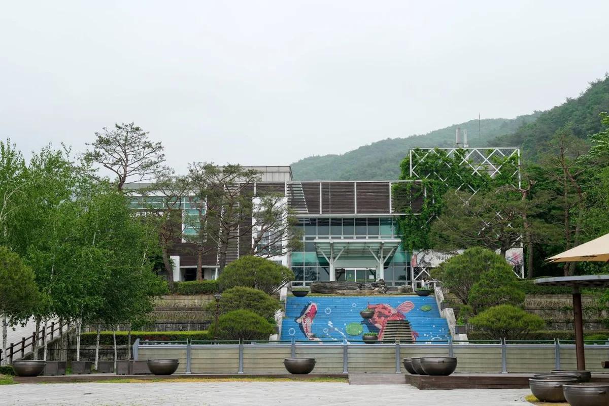 겨울 낭만 여행, 충북 영동 가볼만한 곳 BEST 6, 겨울 풍경 & 와인터널