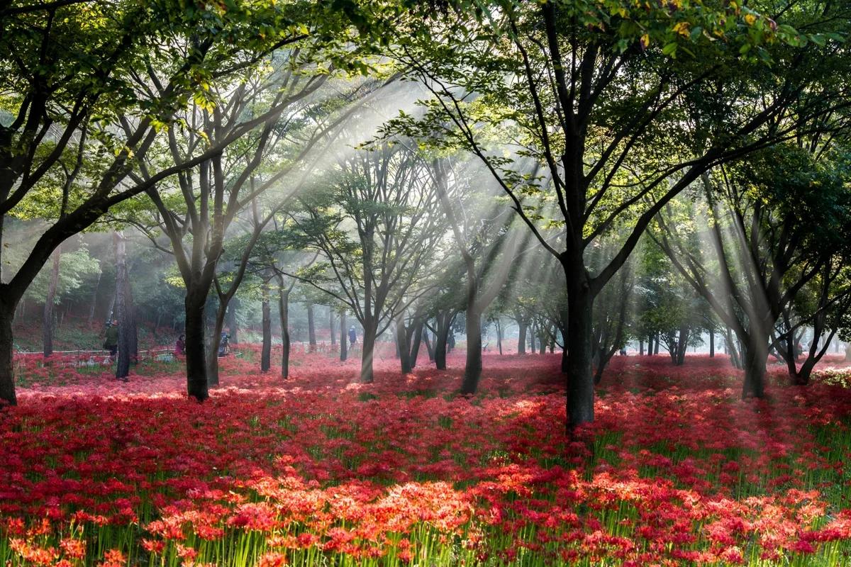 영광 모텔 어디가 좋을까? 겨울 낭만 가득한 영광 여행 코스 BEST 5