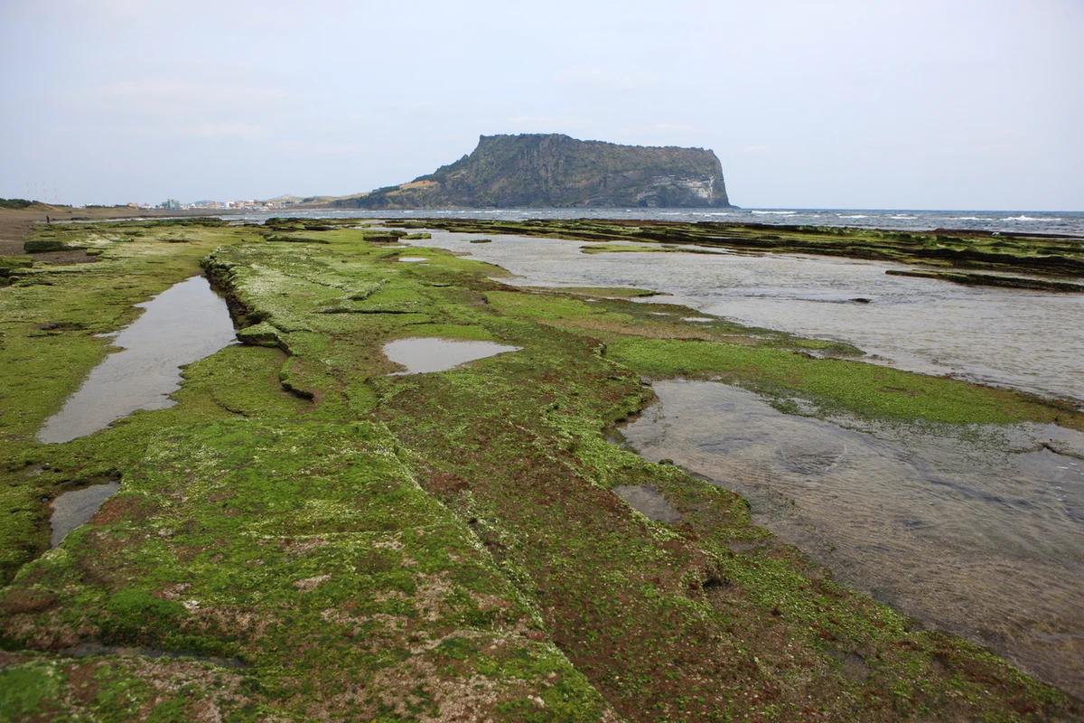 성산 전망대 겨울 여행 코스 추천, 잊지 못할 5곳 후기