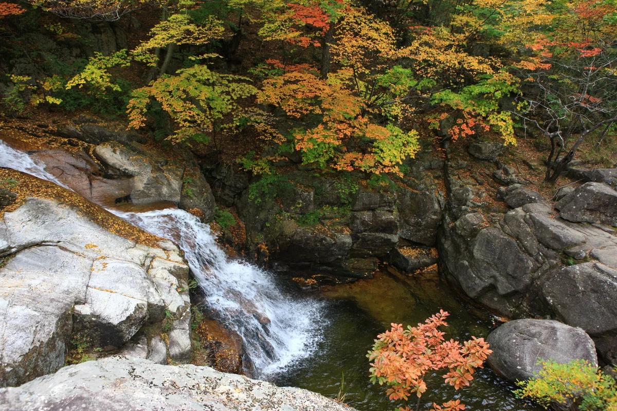 가을빛으로 물든 풍경! 2026 강릉시 단풍 명소 BEST 5