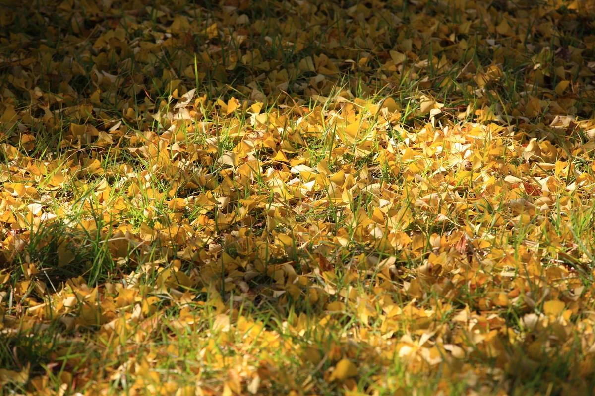 영양 모텔 겨울 여행, 설경 속 아늑한 숙소와 주변 명소 BEST 5