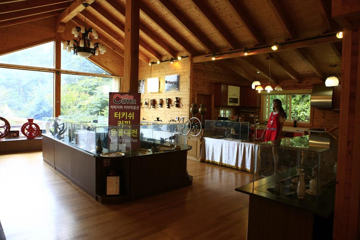 대전 가족여행 꼭 가봐야 할 명소 6곳 — 2026년 겨울 완벽 가이드