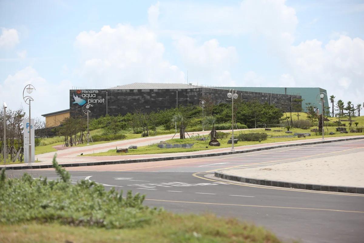 2026 서귀포 액티비티, 겨울 제주에서 즐기는 특별한 6가지