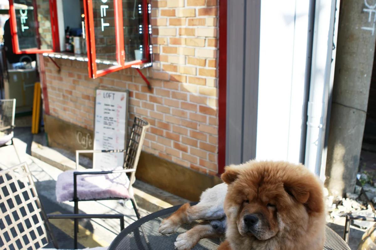 2026 이태원 리조트, 도심 속 완벽한 겨울 휴가 명소 BEST 6