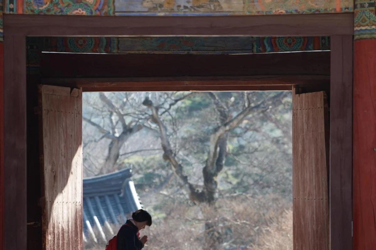 2026 양산 스노클링 가이드: 겨울 끝자락 양산의 특별한 5가지 매력