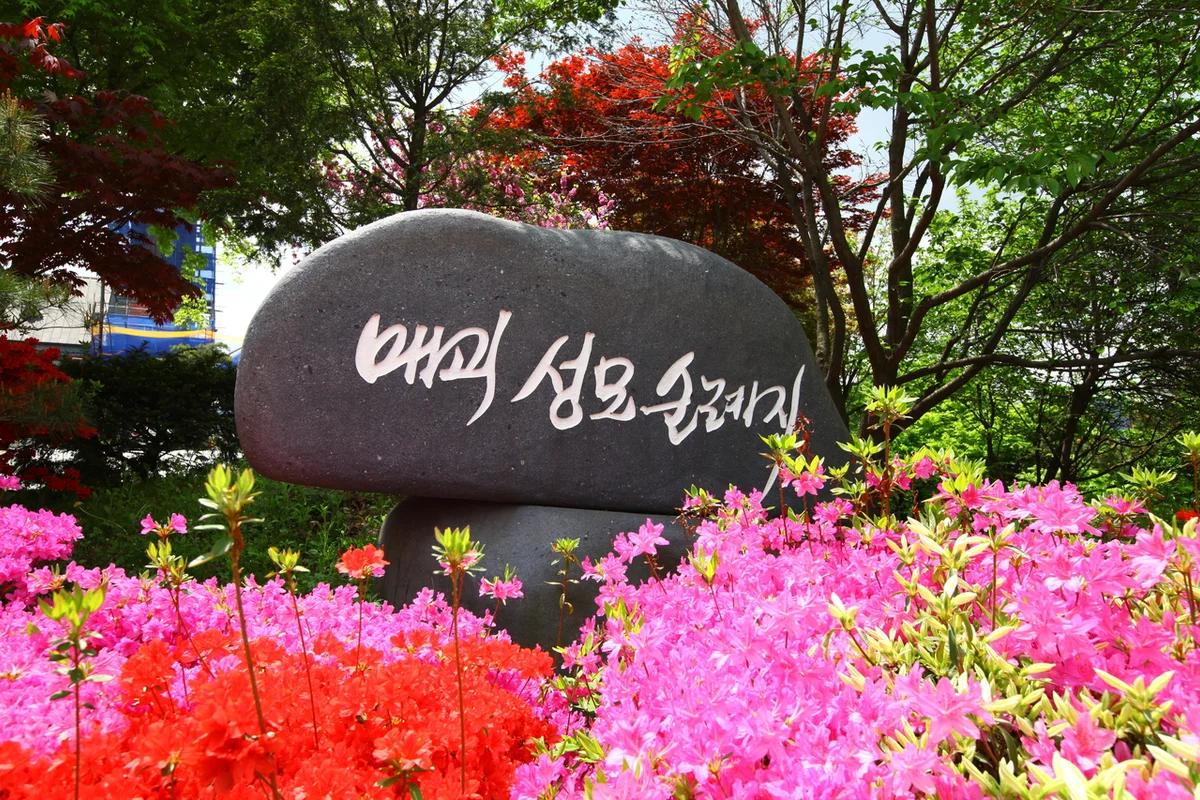 음성 겨울 가볼만한곳, 2026년 놓치지 말아야 할 명소 5곳