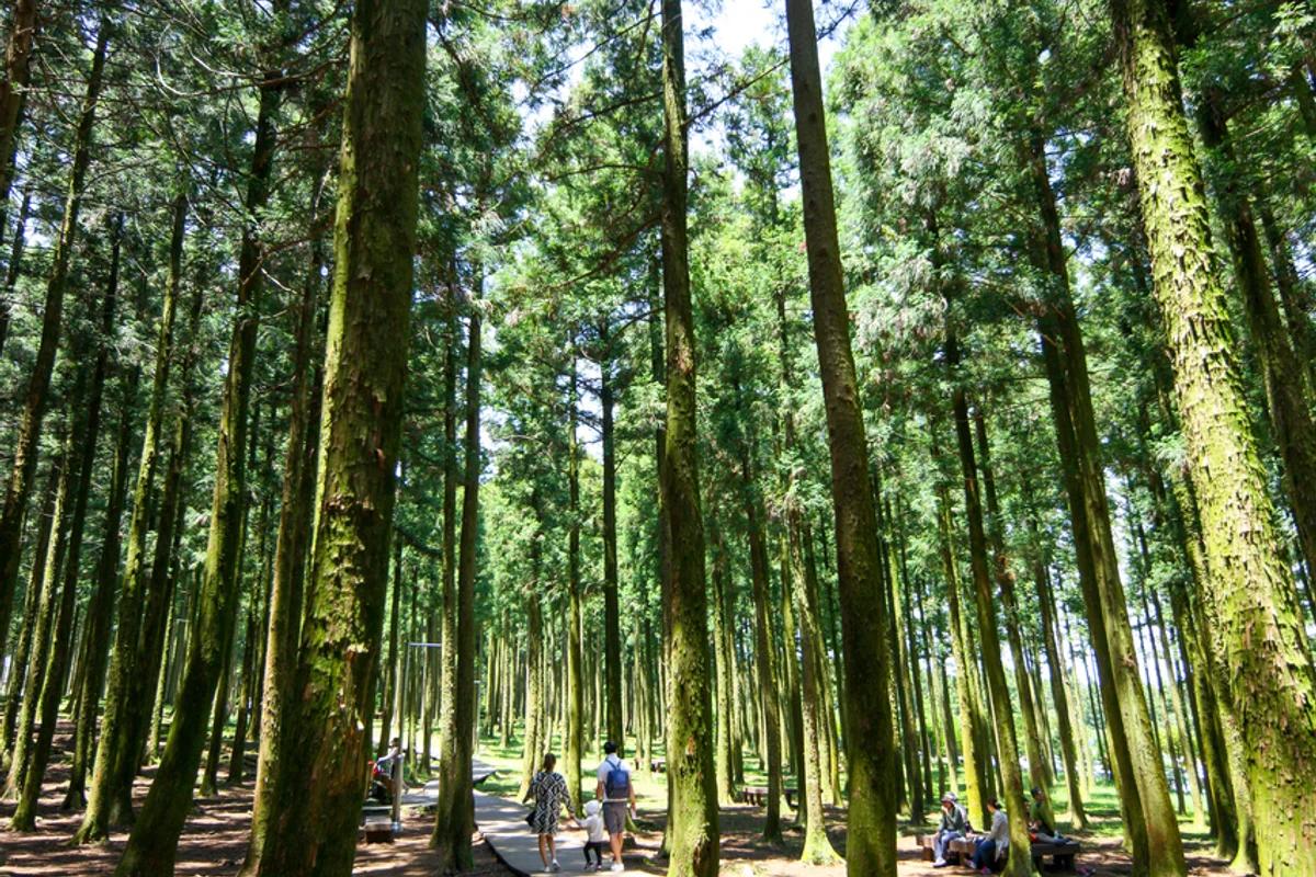 한라산 즐길거리 2026 겨울, 꼭 가봐야 할 명소 5곳