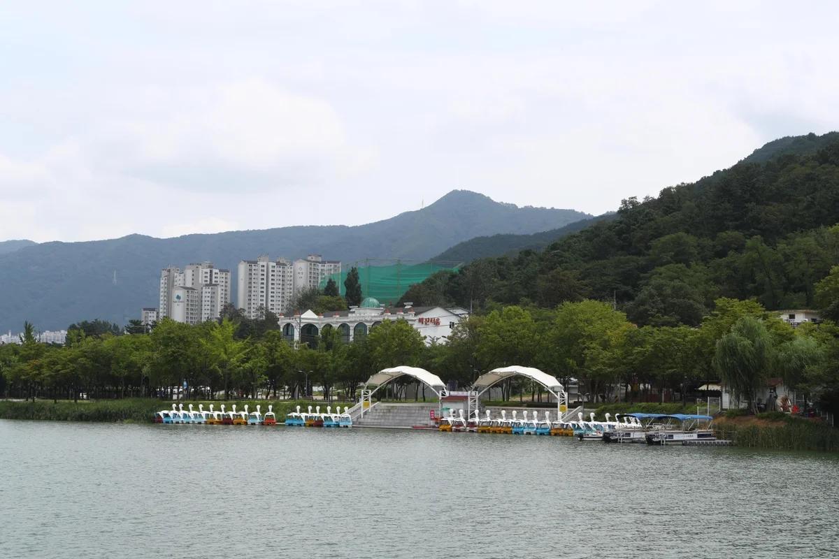 수성못 해안 산책로, 2026년 겨울 만끽할 추천 명소 5곳