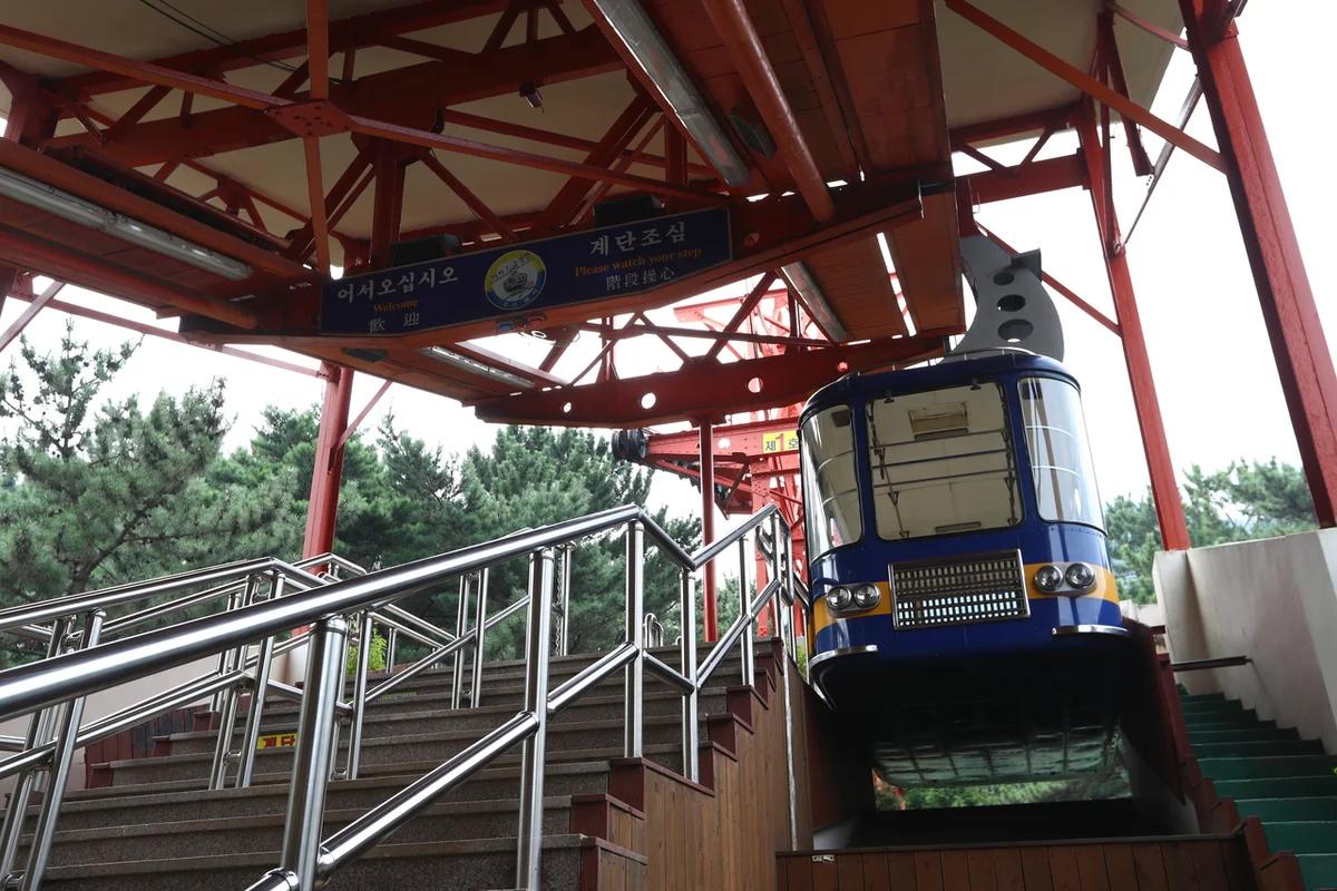 걷고 싶은 그 길 끝에서 만난 풍경, 2026년 범일 단풍 명소 5선