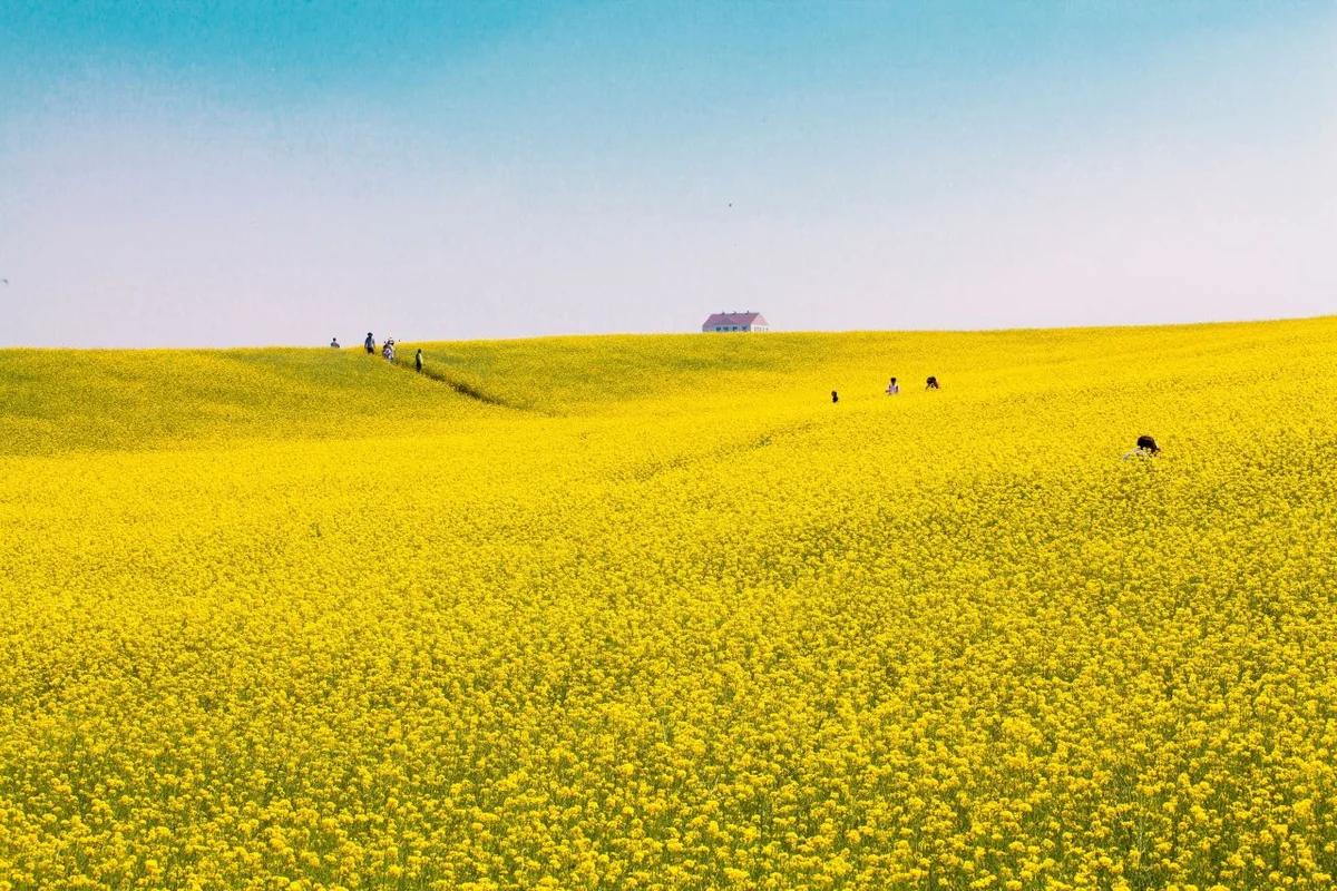 따뜻한 겨울, 안성시 볼거리 2026년 추천 명소 5곳