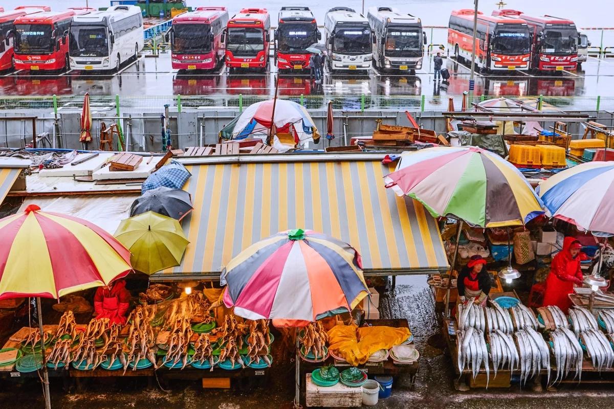 광명 등산 코스 추천 5곳 – 2026년 겨울 산행 완벽 가이드
