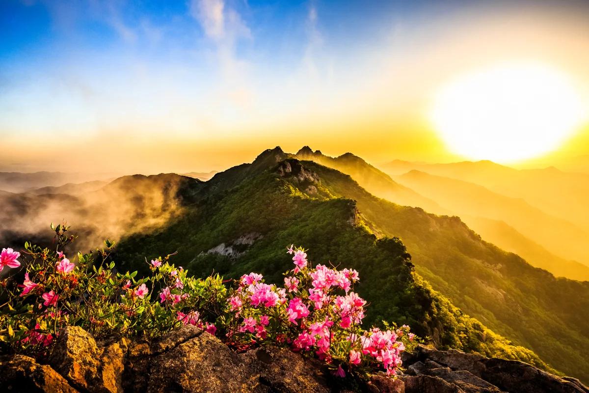 2026 충남 한옥마을 겨울 여행 가이드, 고즈넉한 매력 명소 5곳