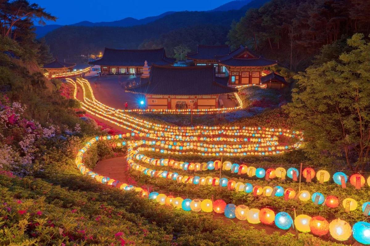 청양군 분위기 좋은 카페 추천, 2026년 겨울 여행 특별한 공간 5곳