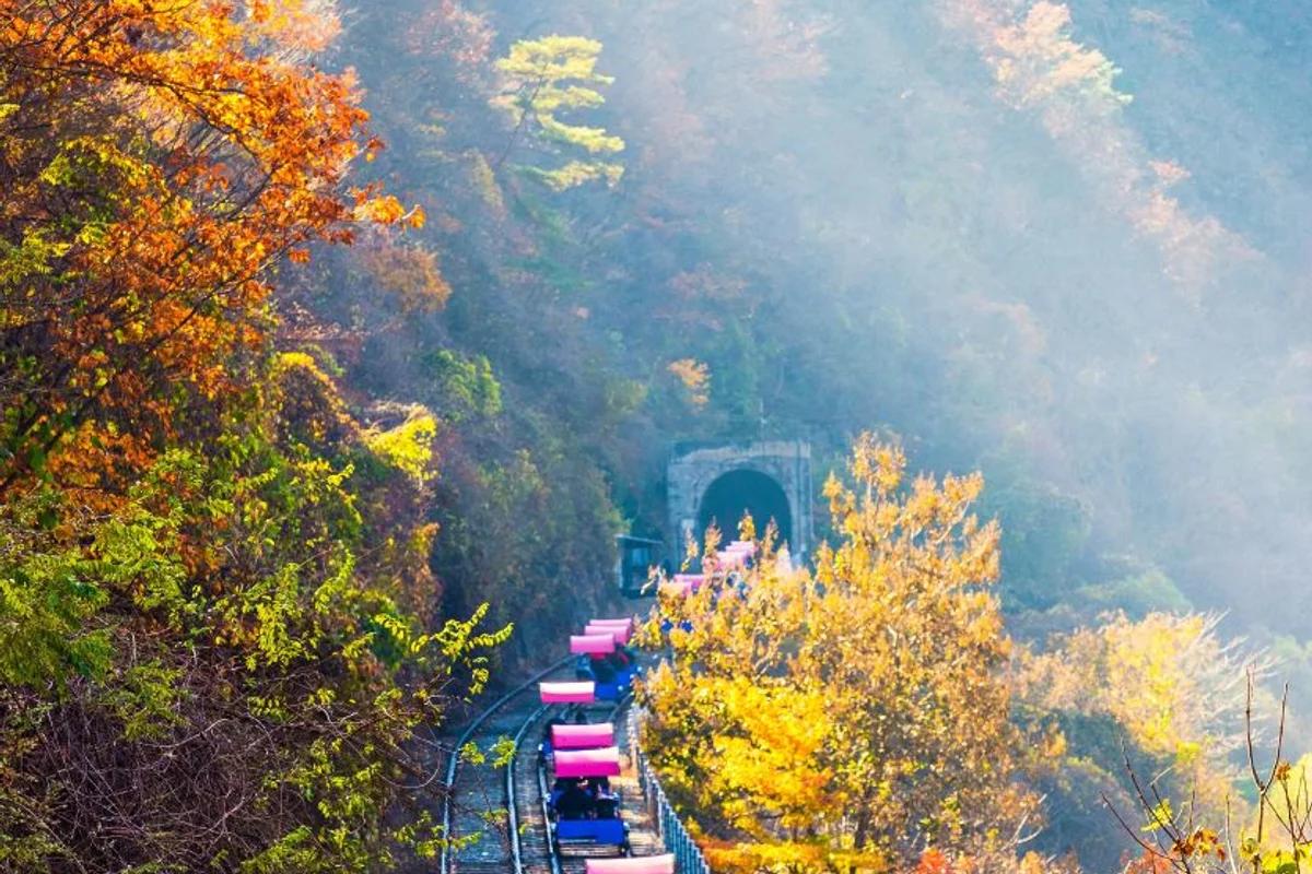 레일바이크 데이트 코스, 2026 설 연휴와 겨울 낭만을 위한 추천 6곳