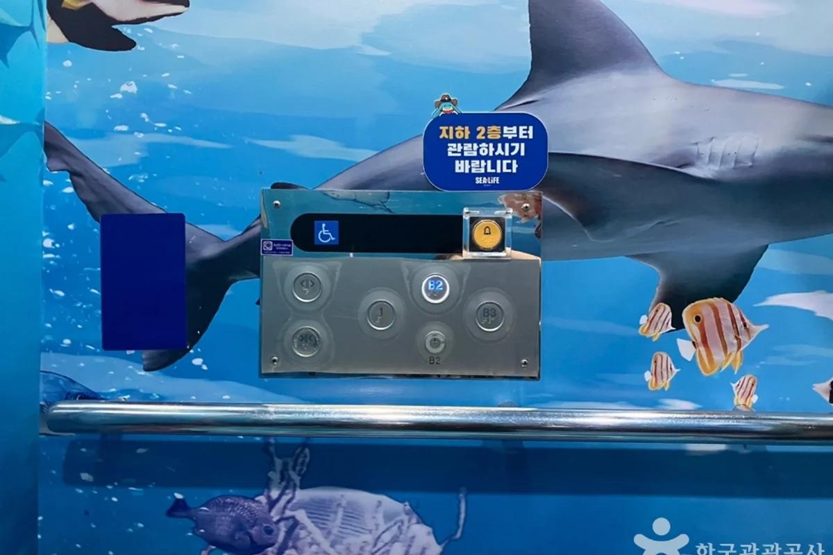 양산시 아쿠아리움 대신! 2026 겨울, 가족과 함께 떠나는 양산 명소 BEST 5