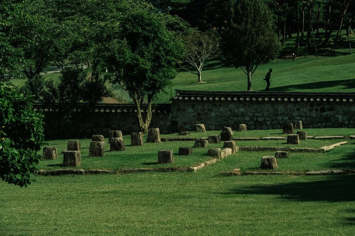 2026 예산 패러글라이딩 겨울 여행, 짜릿한 하늘에서 만나는 감동 BEST 7