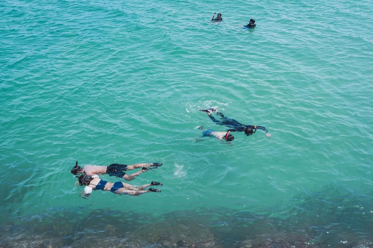 2026 겨울, 목동 스노클링의 숨겨진 매력 5가지 – 도심 속 이색 유영법 탐험