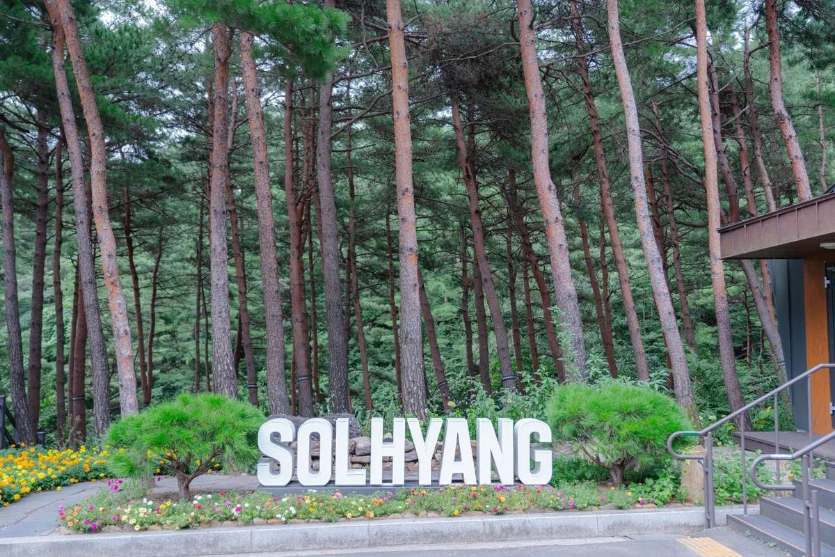 8월 울산 보양식 맛집 여행 코스 추천 6곳 (2026)