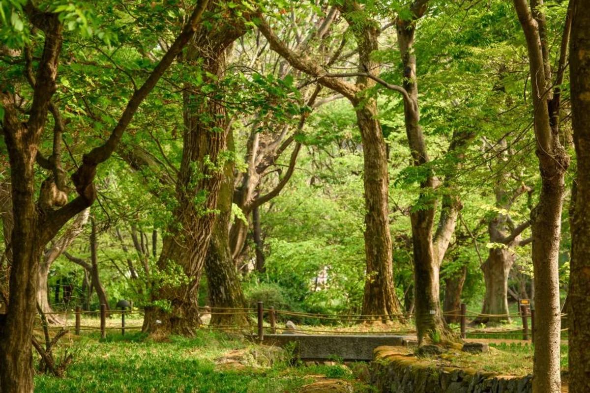 새봄 맞이 4월 아산 여행, 놓칠 수 없는 명소 6곳
