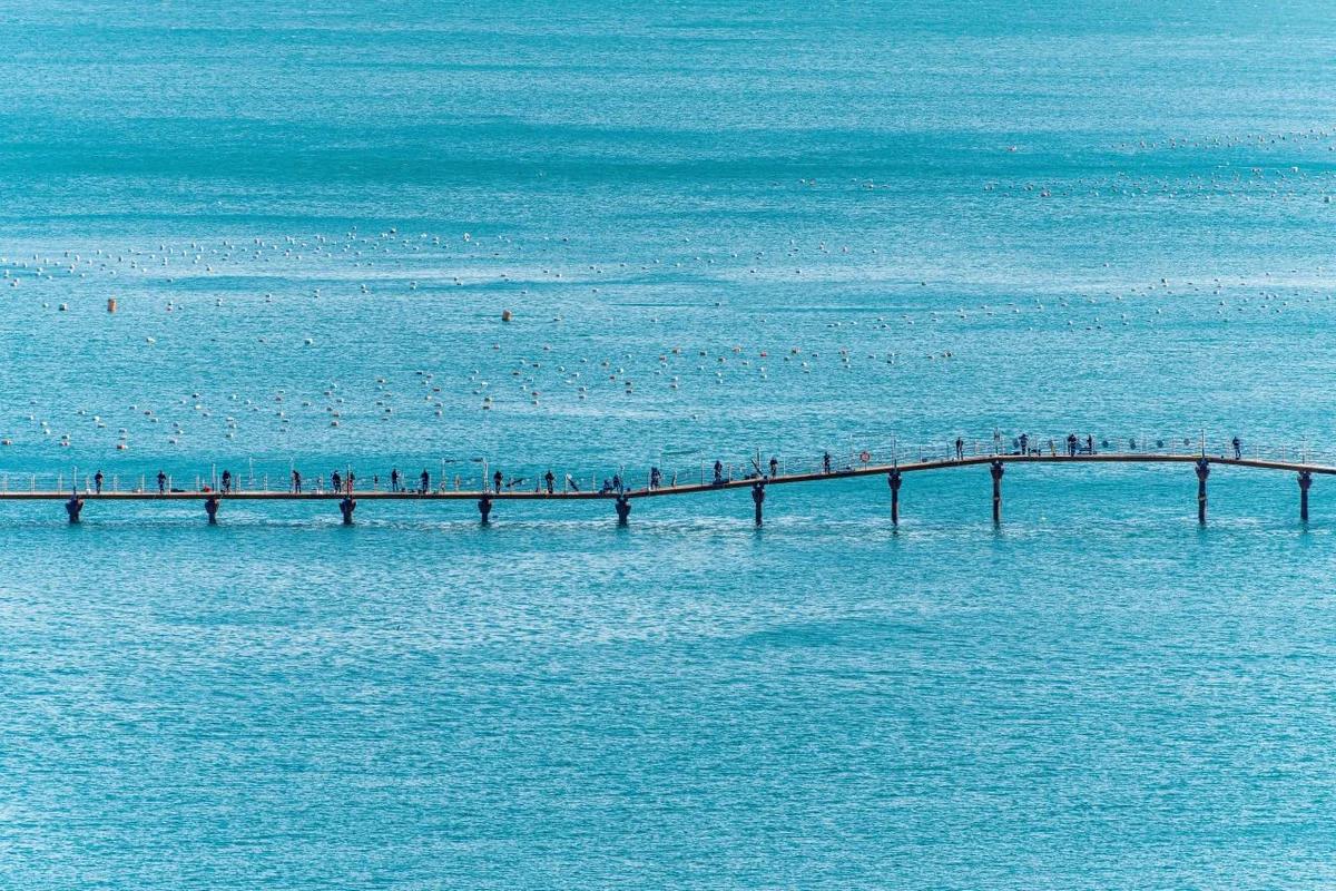 2026 통영시 낚시, 지금 떠나기 좋은 명소 5곳 (선상부터 좌대 낚시까지)