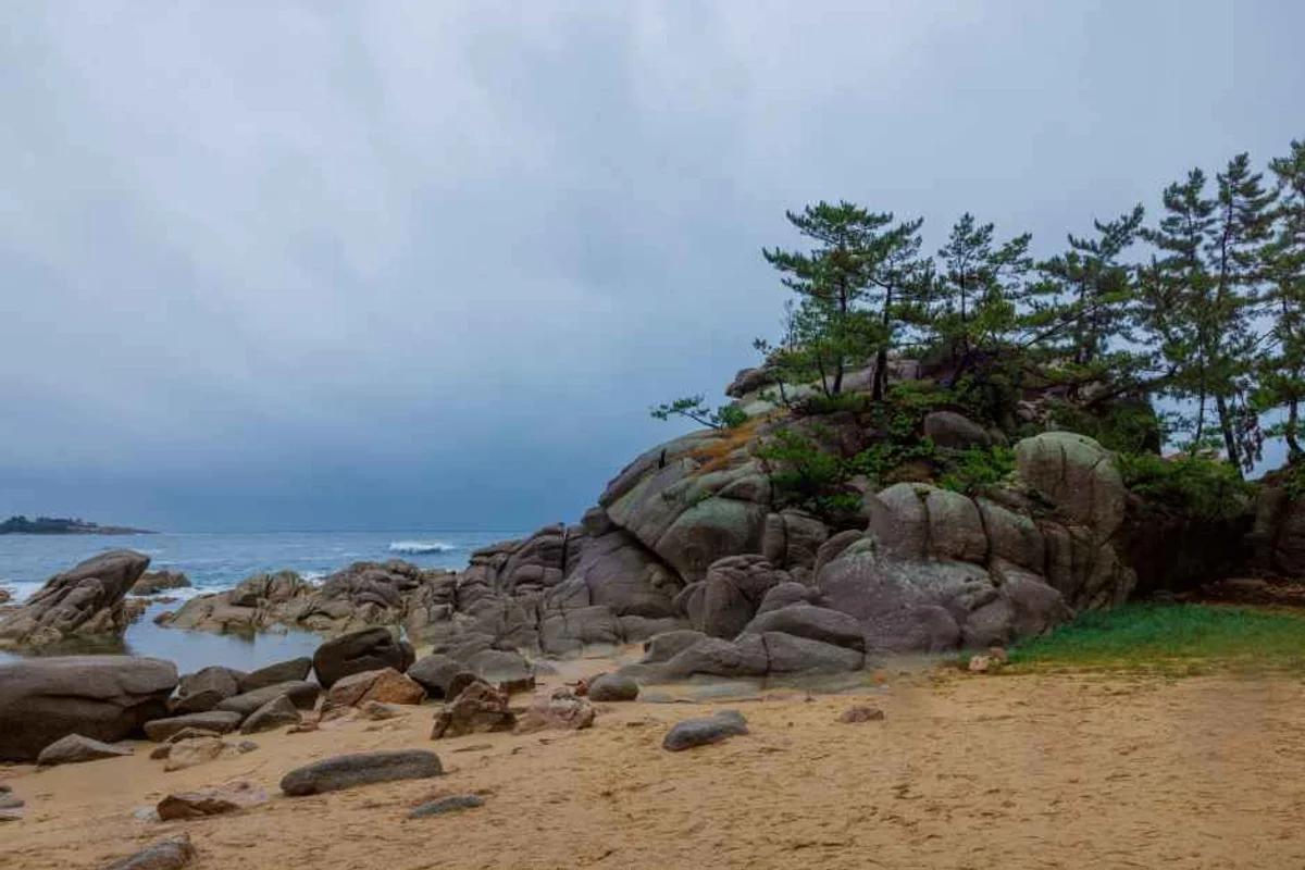 수완지구 해안 산책로 겨울에도 괜찮을까요? 2026년 실제 가본 산책길 5곳 추천