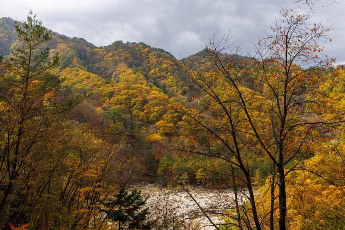 설악산 자전거 도로 코스 추천 — 2026 겨울, 낭만 라이딩과 주변 볼거리 완벽 가이드