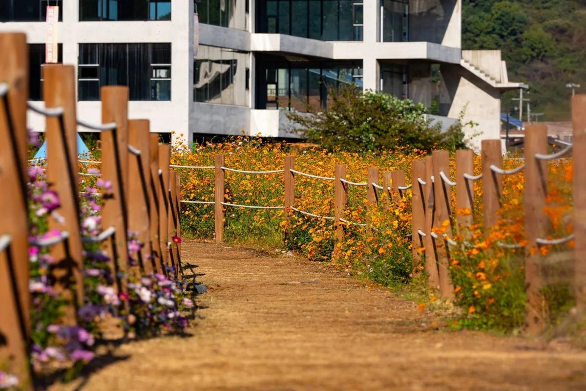 창원 산 어디가 좋을까? 겨울 설경이 아름다운 장복산 & 불모산 BEST 5