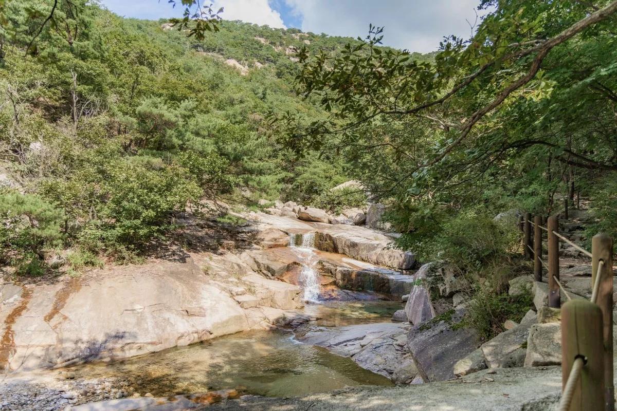 2월의 고요한 아름다움, 겨울 정취 가득한 서울 계곡 추천 5곳