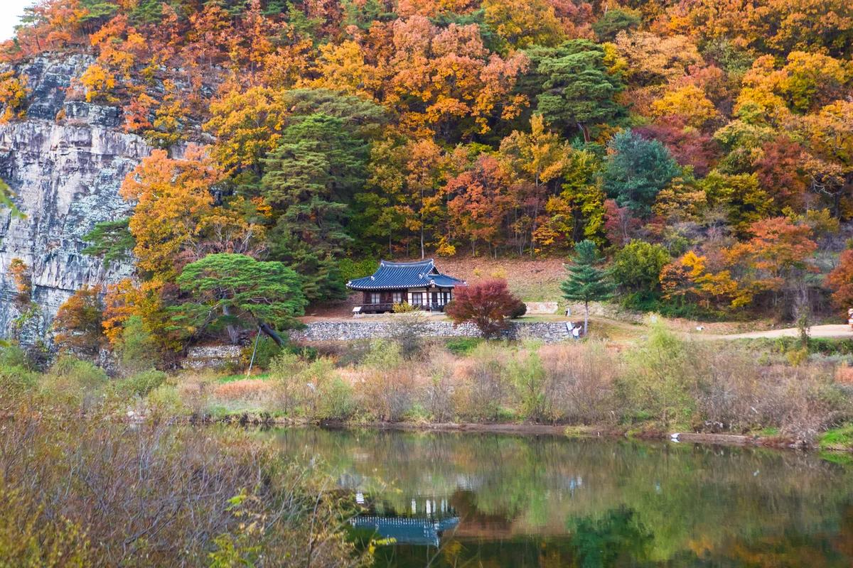 안동 하회 마을 숙박 어디가 좋을까? 고즈넉한 한옥에서 보내는 겨울밤 BEST 5