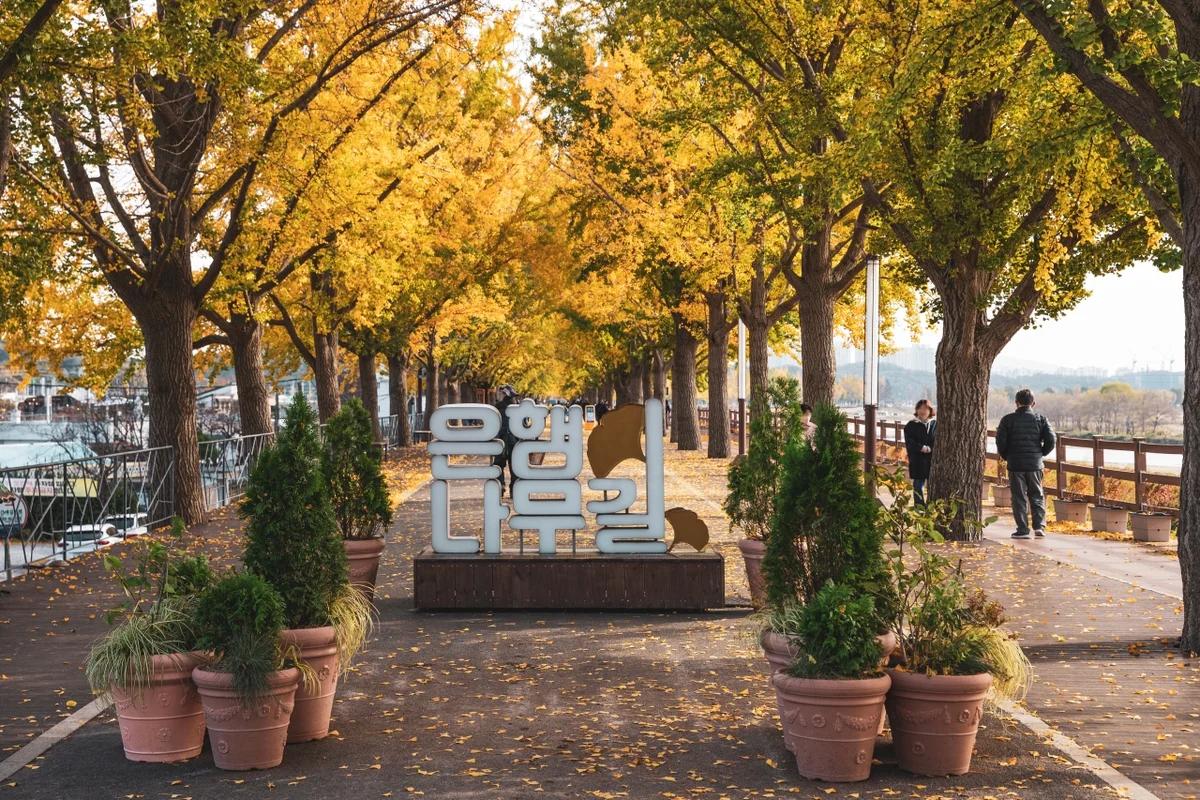 겨울 아산 유명한 음식 어디가 좋을까? 탕정 순대국밥부터 온양온천 족발까지 BEST 5