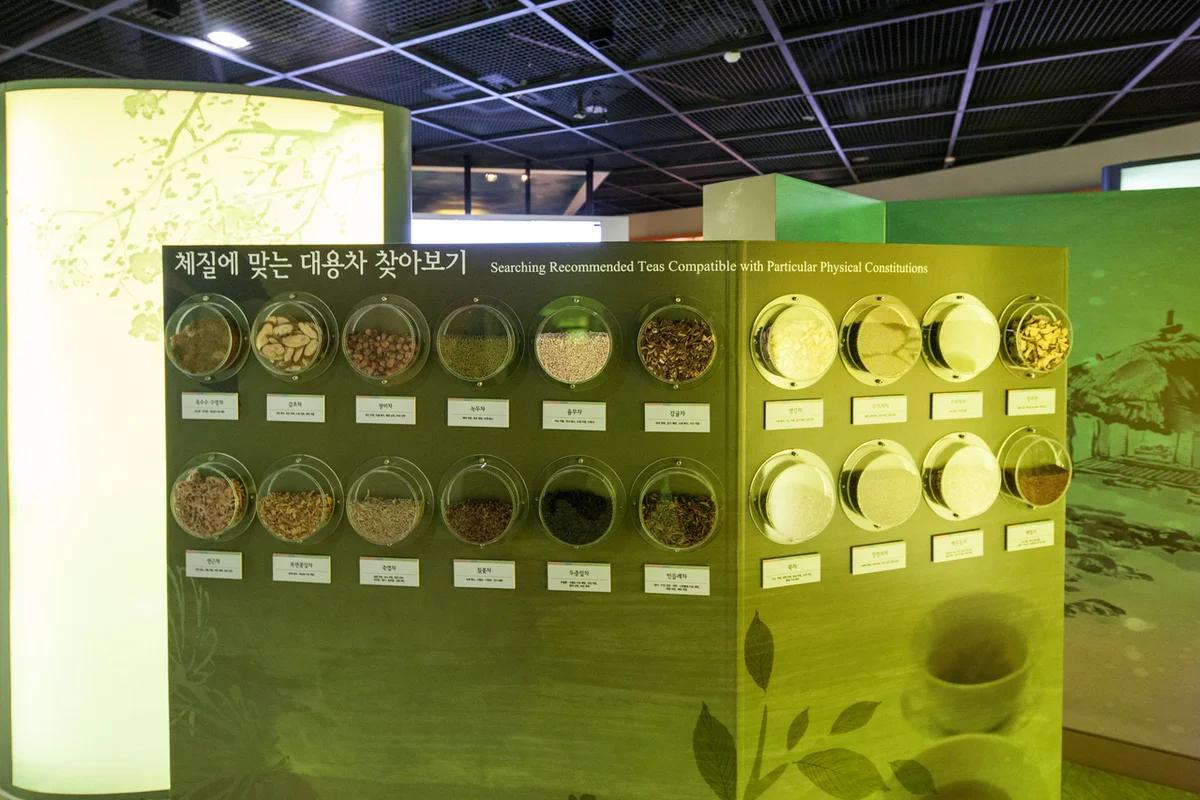 “따뜻한 차 한 잔에 겨울 추위가 사르르 녹아요!”… 2026년 겨울, 전남 보성 힐링 여행지 BEST 5