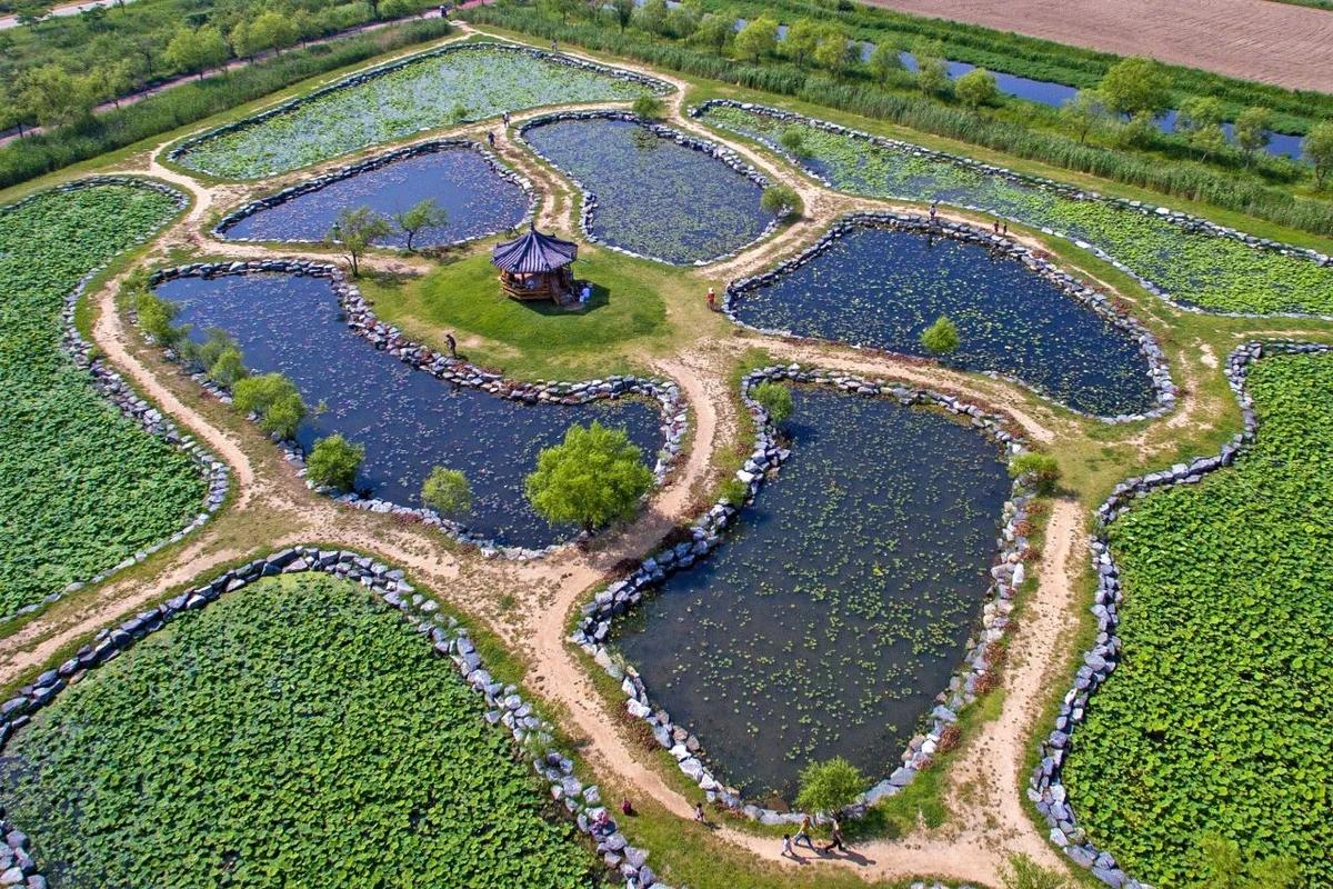 봄을 기다리는 설렘, 부산 벚꽃 만개 BEST 5 스폿에서 미리 만나요!