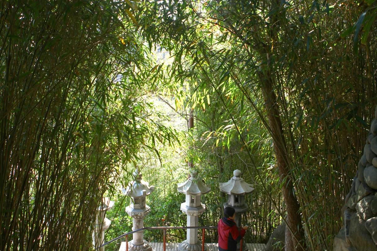 부산 가볼만한 곳 베스트 10, 겨울 낭만 가득한 해안 산책로와 따뜻한 힐링 스팟은 어디가 좋을까?