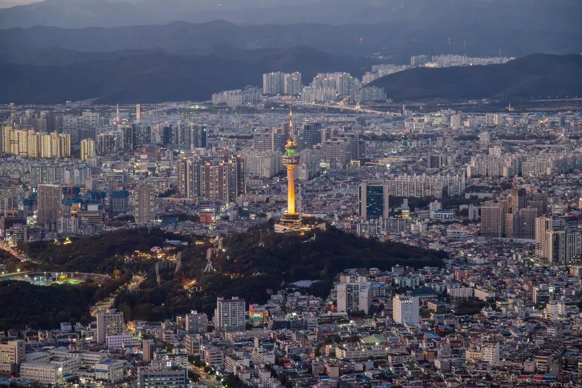 지금은 겨울이지만, 미리 준비하는 대구 벚꽃 명소, 아름다운 봄을 위한 BEST 6