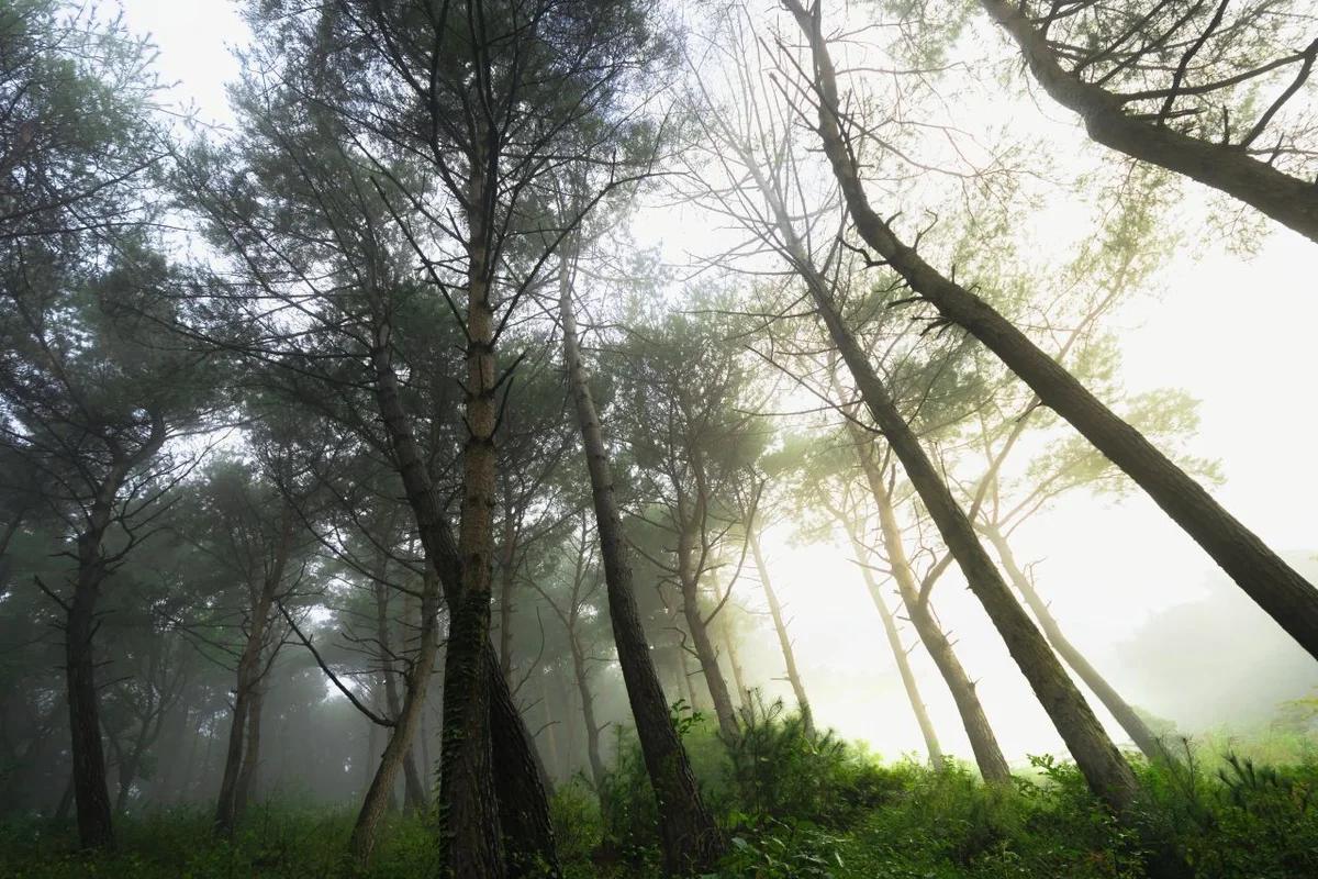 대구 실내 액티비티 어디가 좋을까? 아쿠아플라넷 대구부터 스파밸리까지 겨울 힐링 스팟 BEST 6