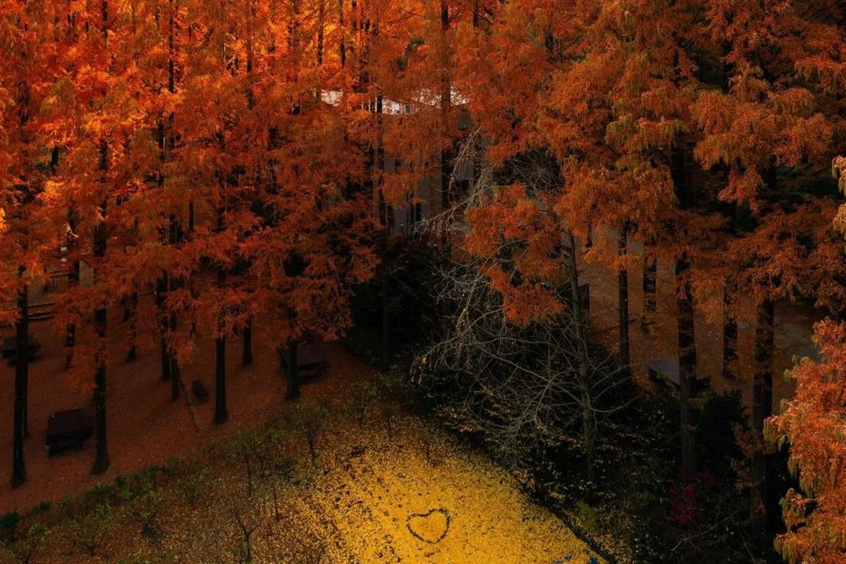 “새하얀 설경 속 숨겨진 보석!”… 2월 대전, 2026 대전 벚꽃 개화 시기를 기다리며 즐기는 겨울 명소 BEST 5