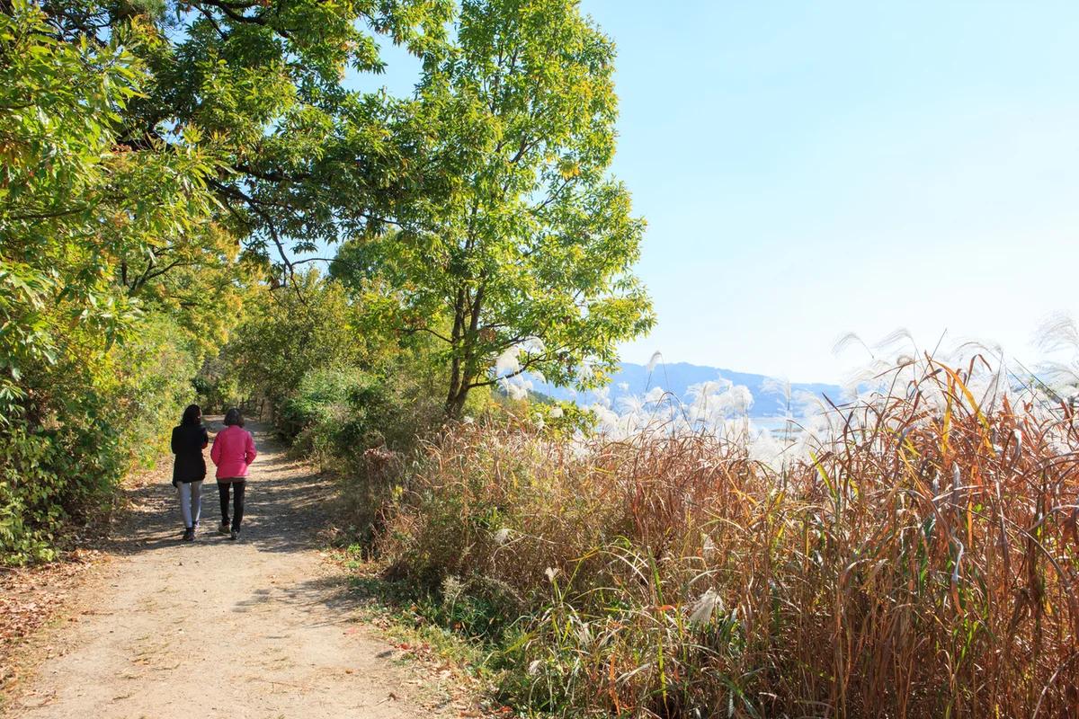 대전 관광지 어디가 좋을까? 2026 겨울, 과학 도시 대전의 매력 BEST 6
