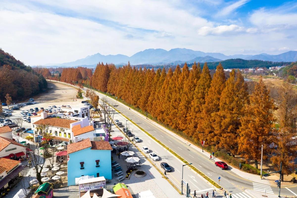 “이국적인 겨울 동화 속으로!”… 2026년 2월, 담양 메타 프로방스 완벽 즐기기 BEST 5