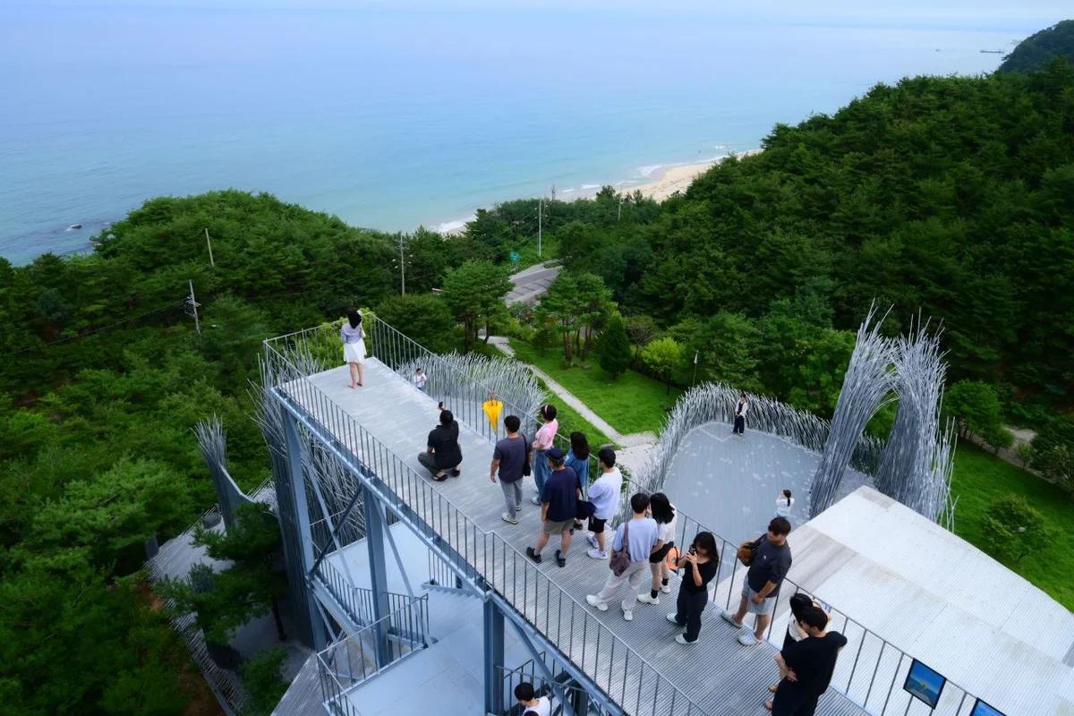 강릉 시립 미술관과 함께 겨울 감성 충전! 예술 테마 여행 코스 BEST 5