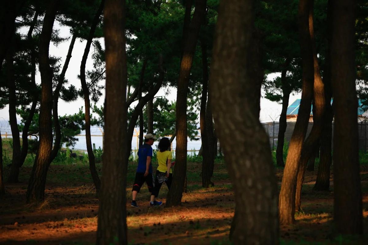 2026년 강릉 해수욕장, 겨울 바다 어디가 좋을까? 고즈넉한 명소 BEST 5