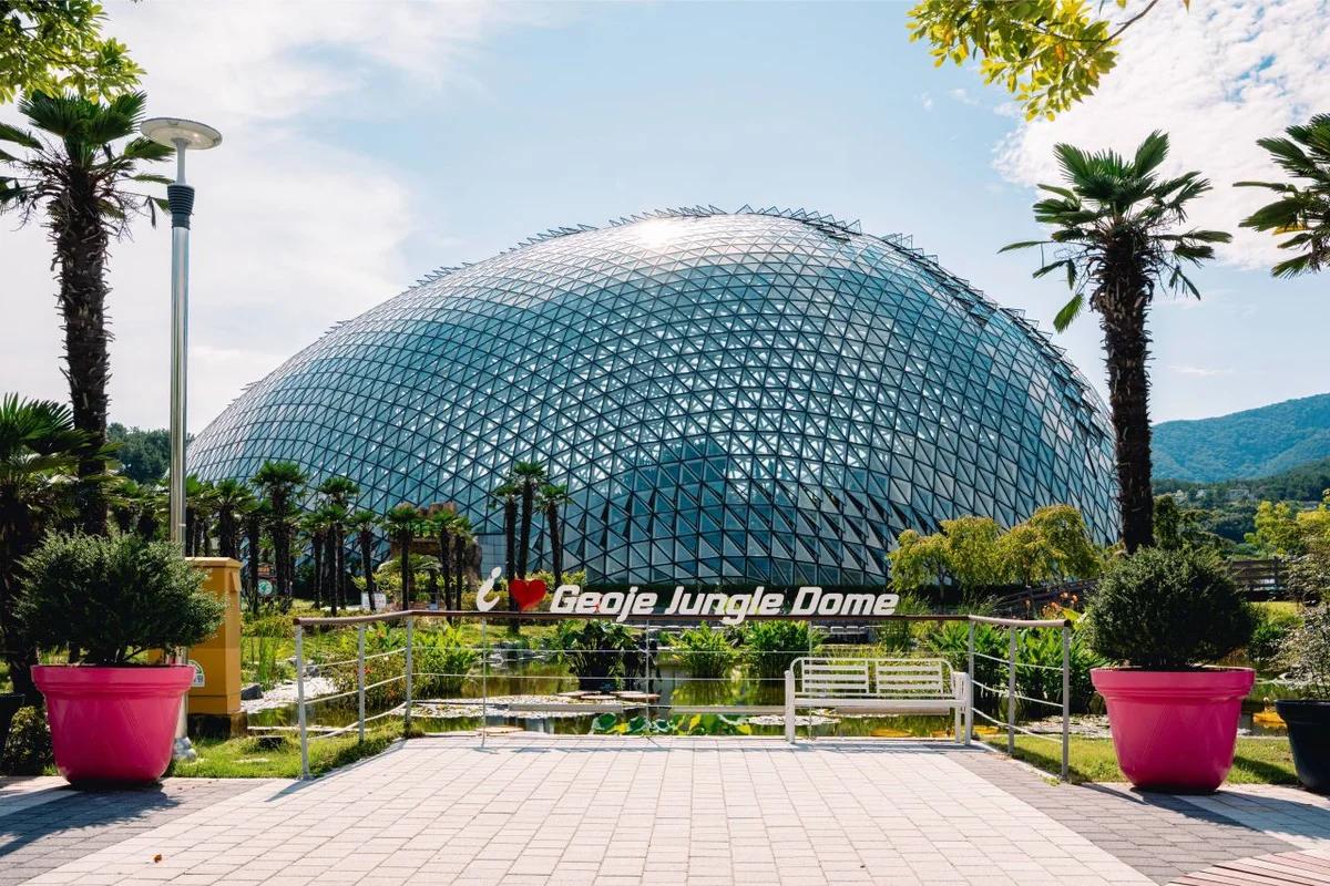 “한겨울에도 푸릇푸릇한 이국적인 낙원!”… 2026년 거제 정글 돔, 추위를 잊게 할 이색 명소 BEST 5