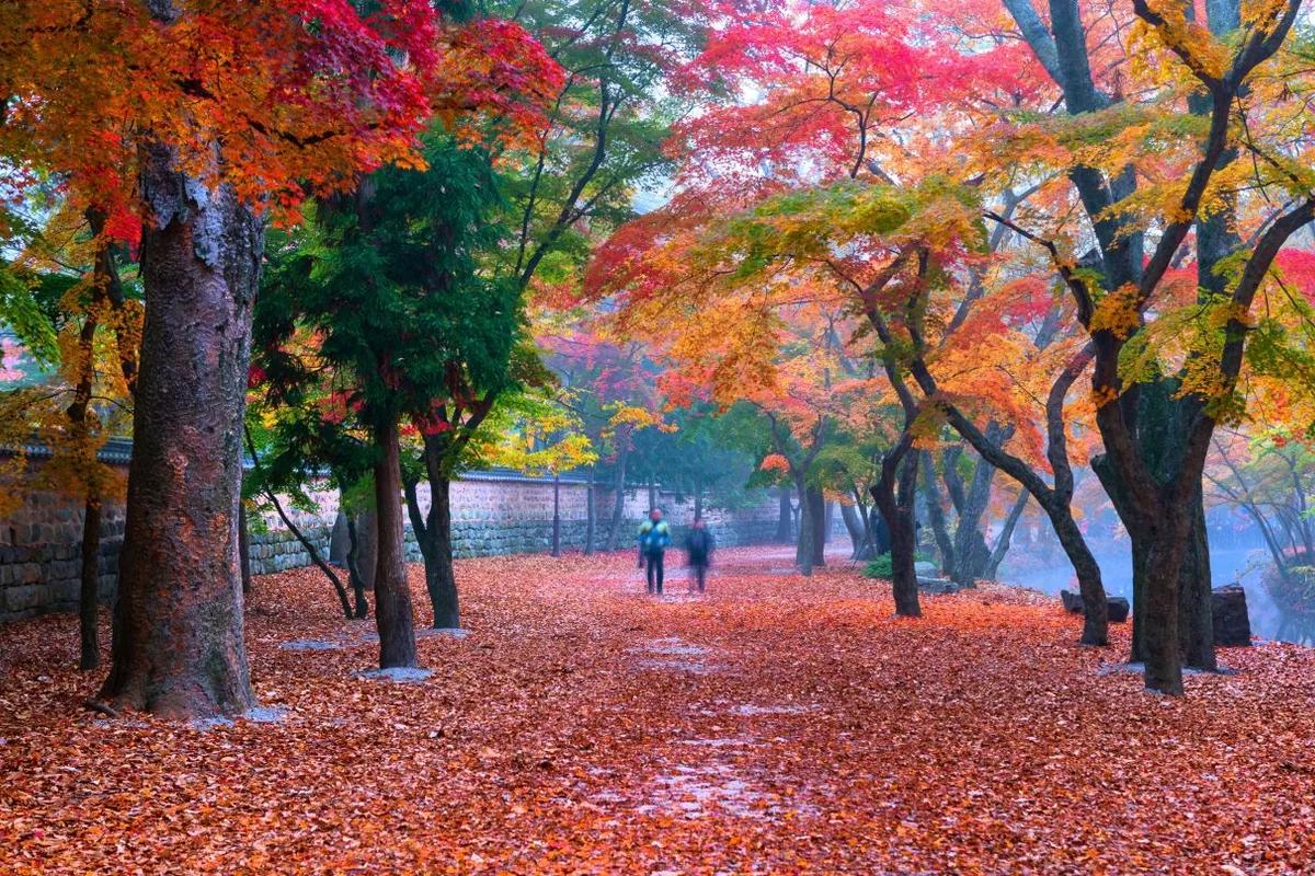고창 호텔 어디가 좋을까? 겨울 낭만 가득한 고창 힐링 스팟 BEST 5